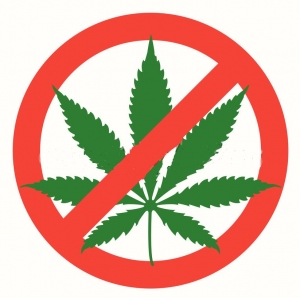 „Gimnazjalisto, spójrz inaczej”