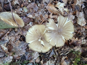 W kontakcie z naturą