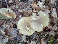 W kontakcie z naturą