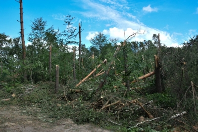 Komunikat dla Mieszkańców gminy Złocieniec, którzy zostali poszkodowani w wyniku nawałnicy