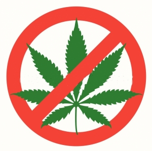 Gimnazjalisto spójrz inaczej - zakończenie projektu