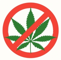 Gimnazjalisto spójrz inaczej - zakończenie projektu